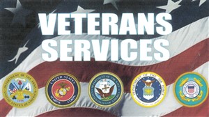veteran badges